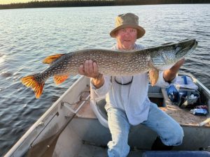 Conquering Vick Lake: A Fishing Adventure in Northern Ontario 2024
41 inch Northern Pike