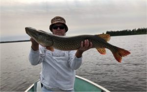 Read more about the article Ultimate Guide to Pike Fishing: Techniques, Tips, and Gear…