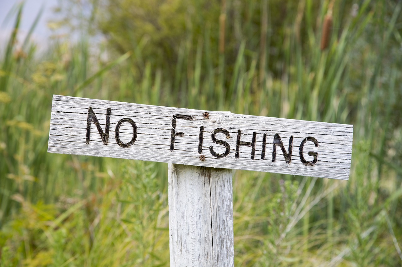 no fishing