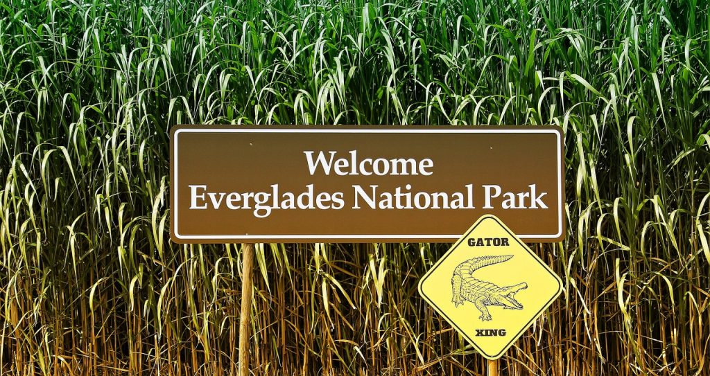 Florida Kayak - Everglades National Park